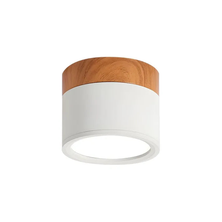 Aura Cylinder: Modern LED Ceiling Light for Focused Illumination