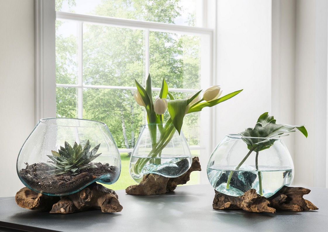 Teak Root Wood with Glass Vase "Knox I" - Unique Recycled Wood Decor, Approx. 13cm Diameter