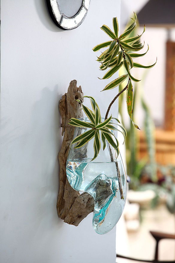 Knox VII Hanging Root Wood with Glass Vase